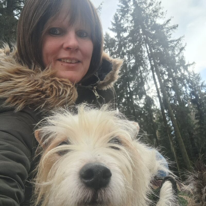 17383314819831129197592822614243