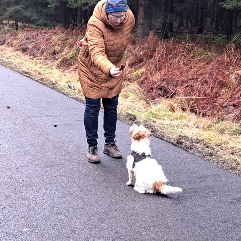 17383322211845709611457546640091