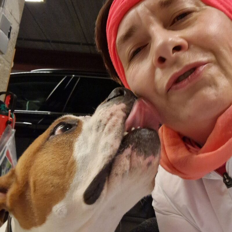 2025-01-261901249550