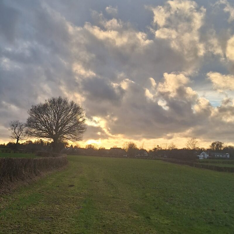 inbound8197682050471425020