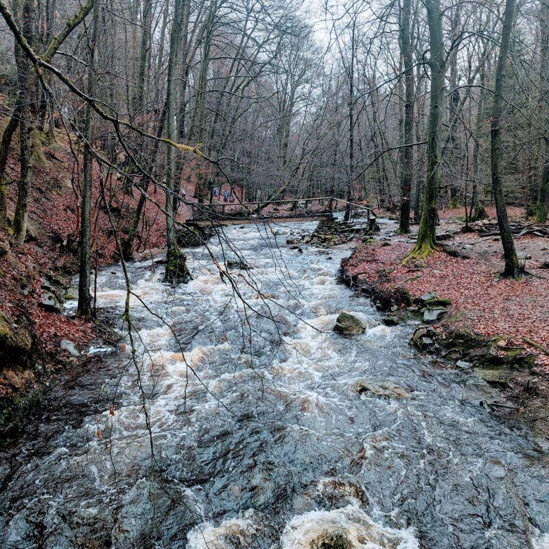 pxl20250126102027253