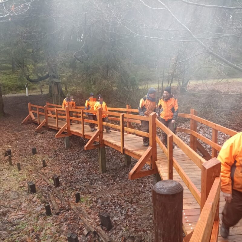 whatsapp-image-2025-01-30-at-153219