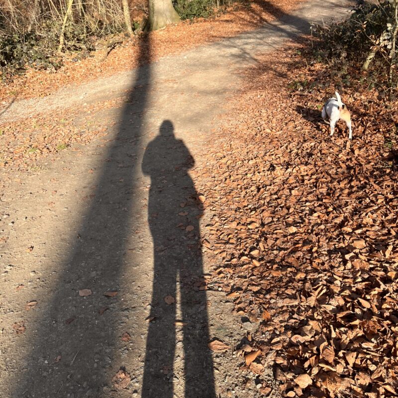 293a5090-7114-4355-a72c-bee936c1ee87