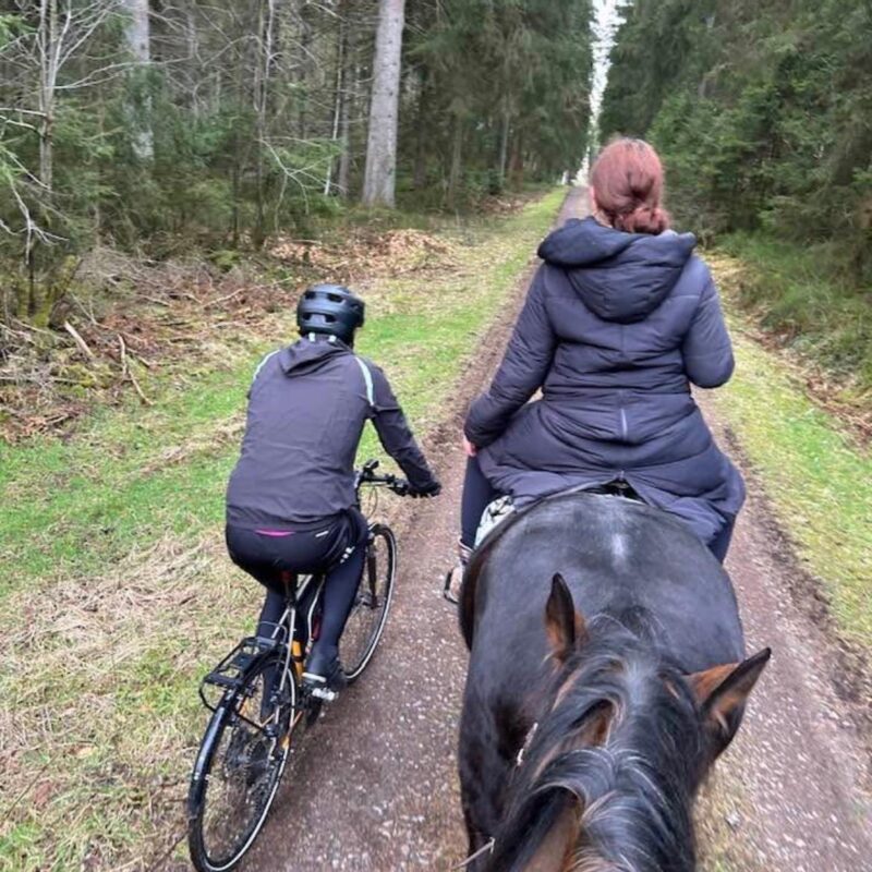 4a57ca7d-28ab-49b2-8add-dd41dc94f6b8