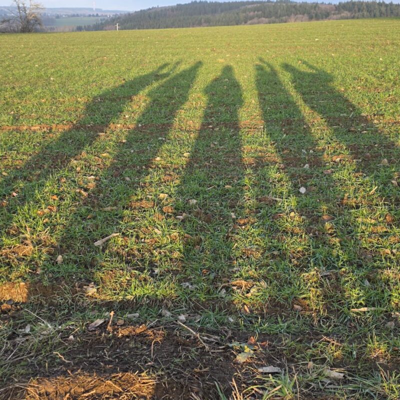 7fcb5d4f-60c9-4aea-abe8-cec50ac63f97