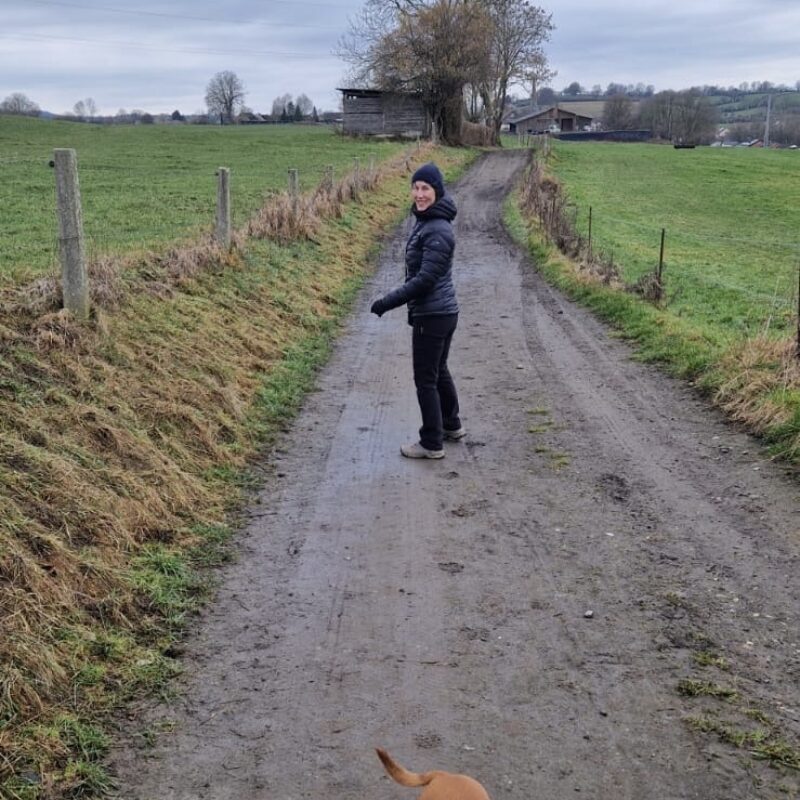 be67c793-4648-4b60-a87d-3f53c569237d-2