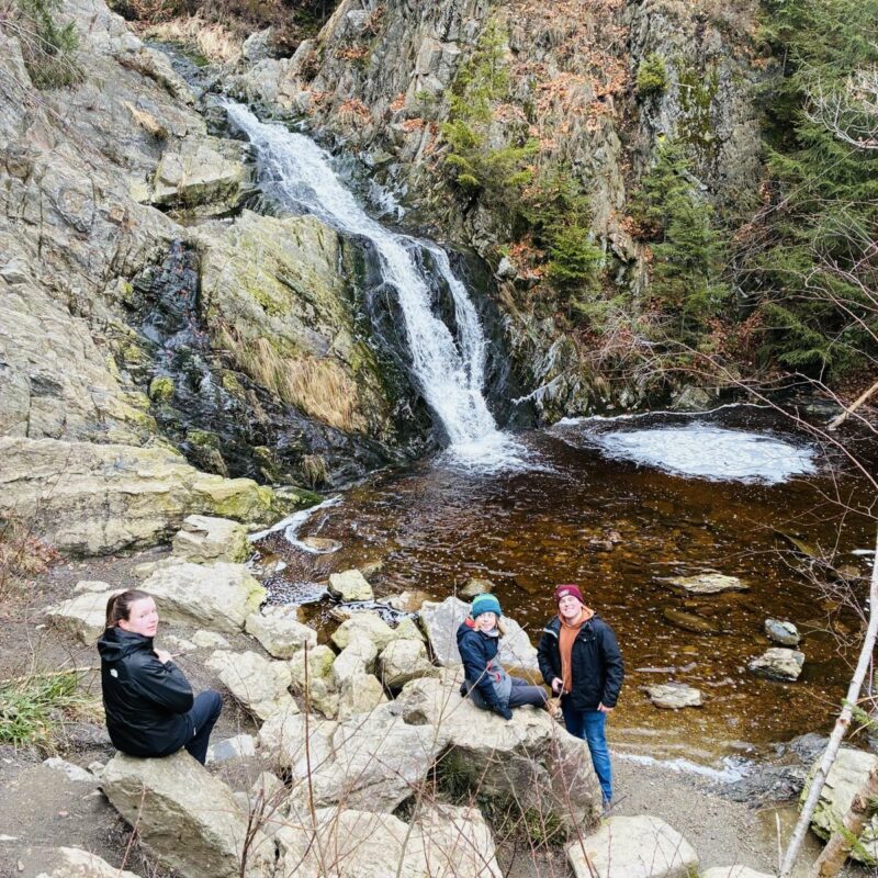 d603d53d-1cd7-40e4-abf0-f08a0e8a3c74