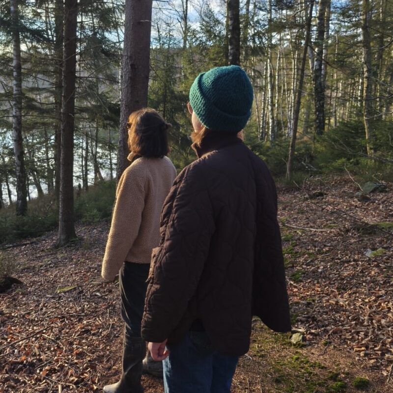 e60cfe6a-e754-4a90-bdee-0327f60485ba