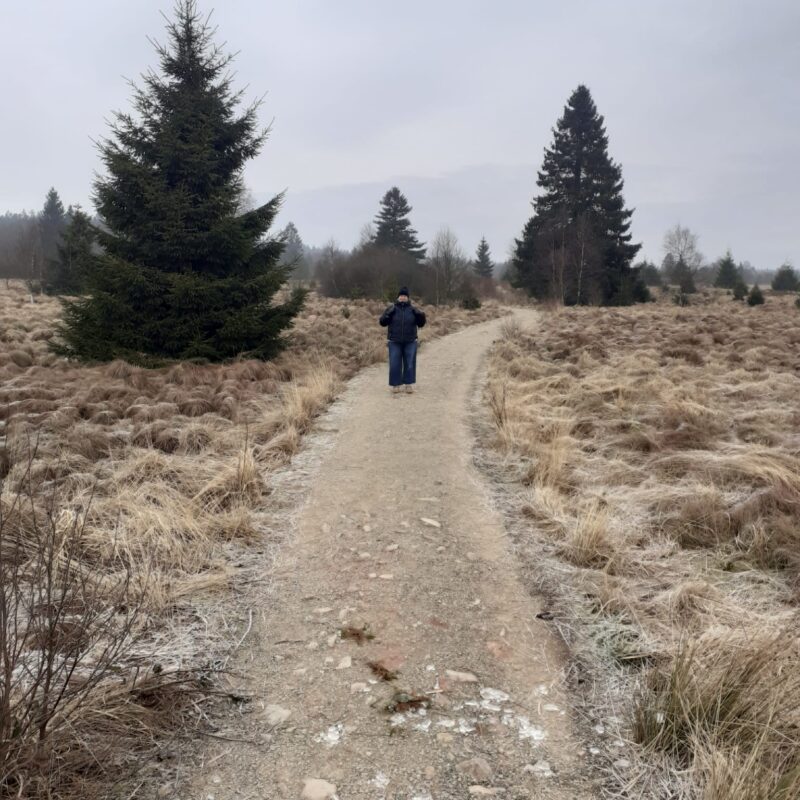 img-20260125-wa00031