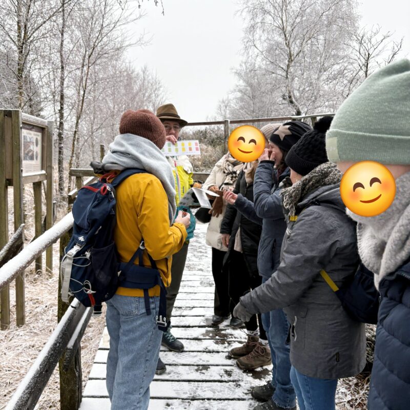 img-20260129-wa00061