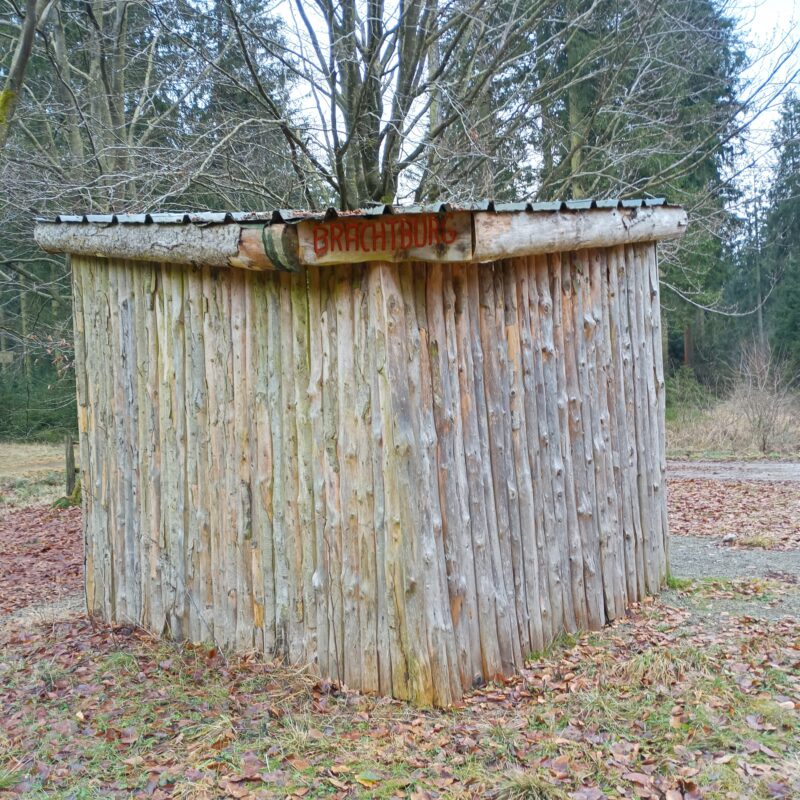 img20260123134812587