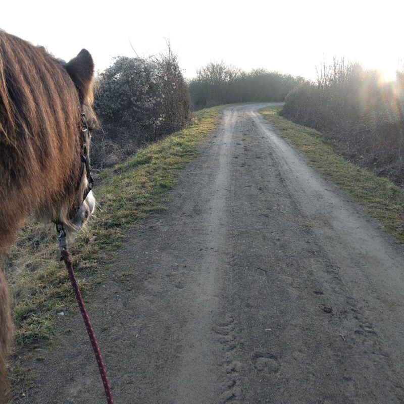 img20260125163439640