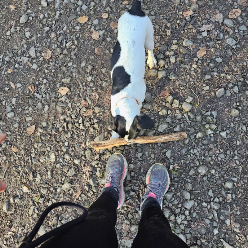 inbound55282178157095897