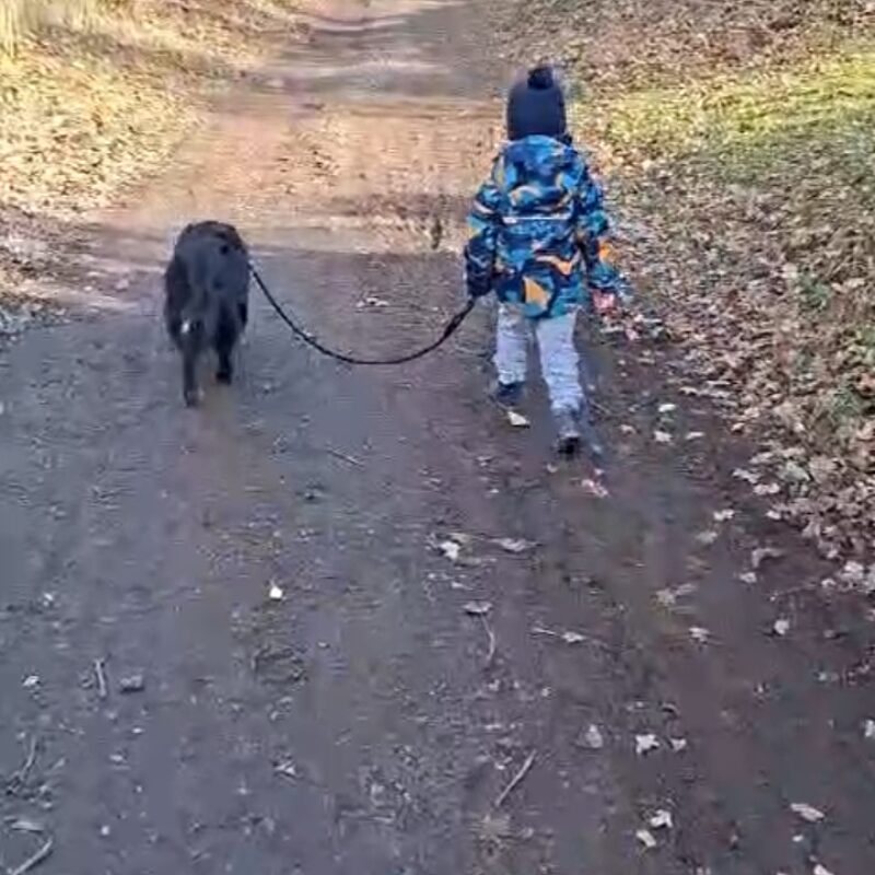 screenshot20260128-082659whatsapp