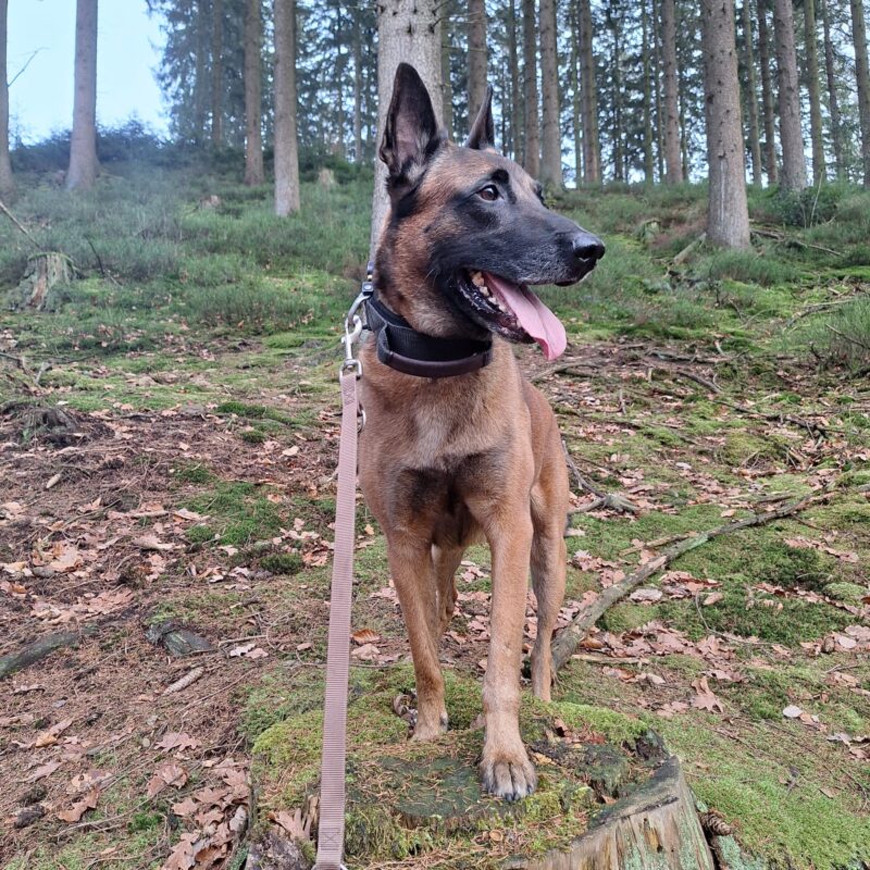 whatsapp-image-2026-01-27-at-145336