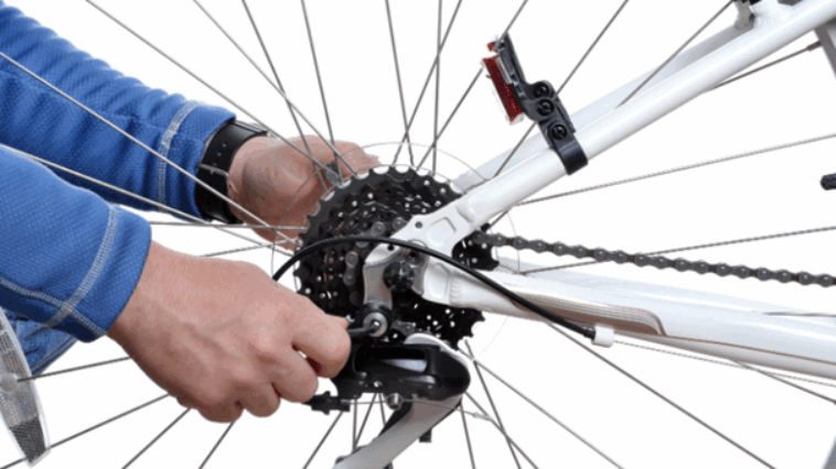 Bild Bike basics