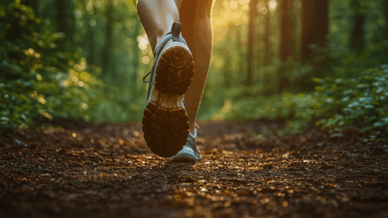 Trail Läufer im Wald