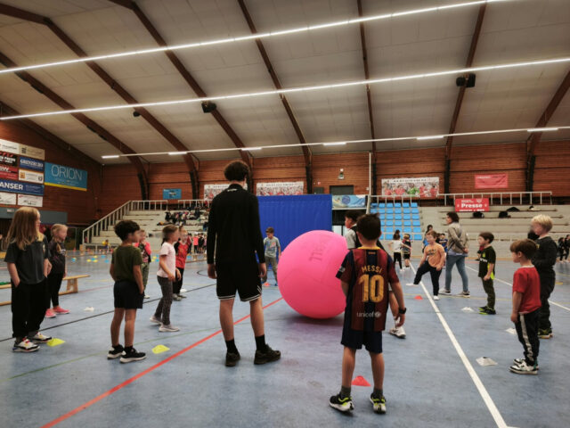 d237c64d-7a54-47eb-a2e3-fb4fe868f77b