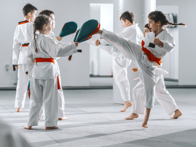 taekwondo3