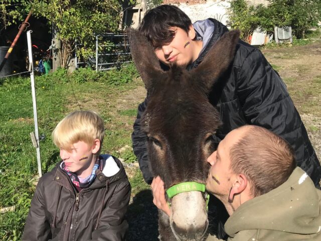 Verein zur Förderung auf 4 Hufen 4
