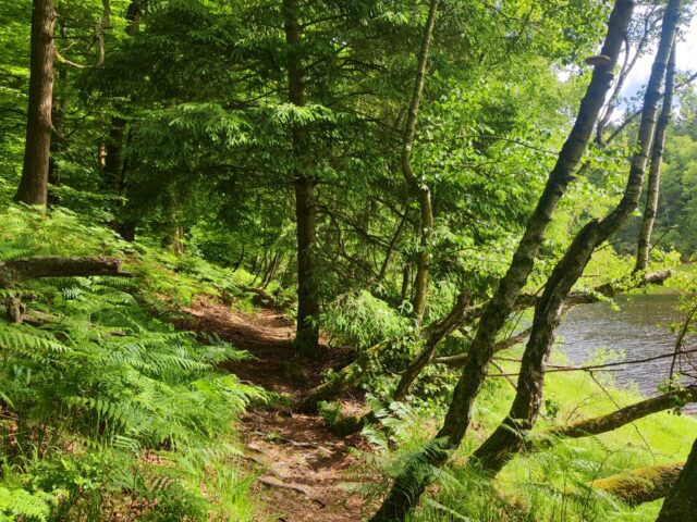 WhatsApp Image 2025-07-01 at 15.51.39